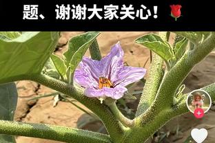 末节3中0！杜兰特22中8拿到23分4板6助